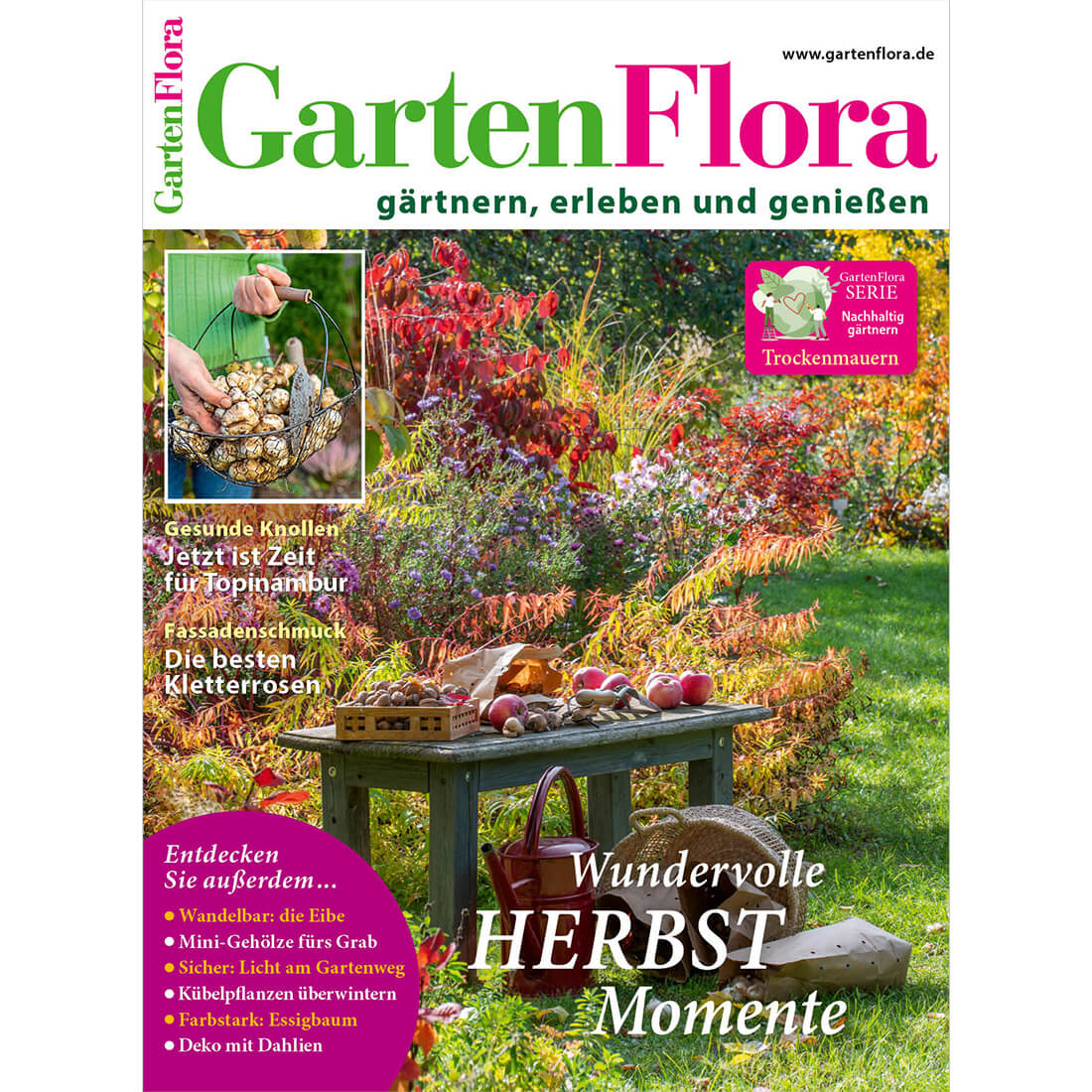 GartenFlora 11/2025