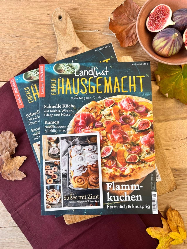 Deutsche Medien-Manufaktur Kiosk