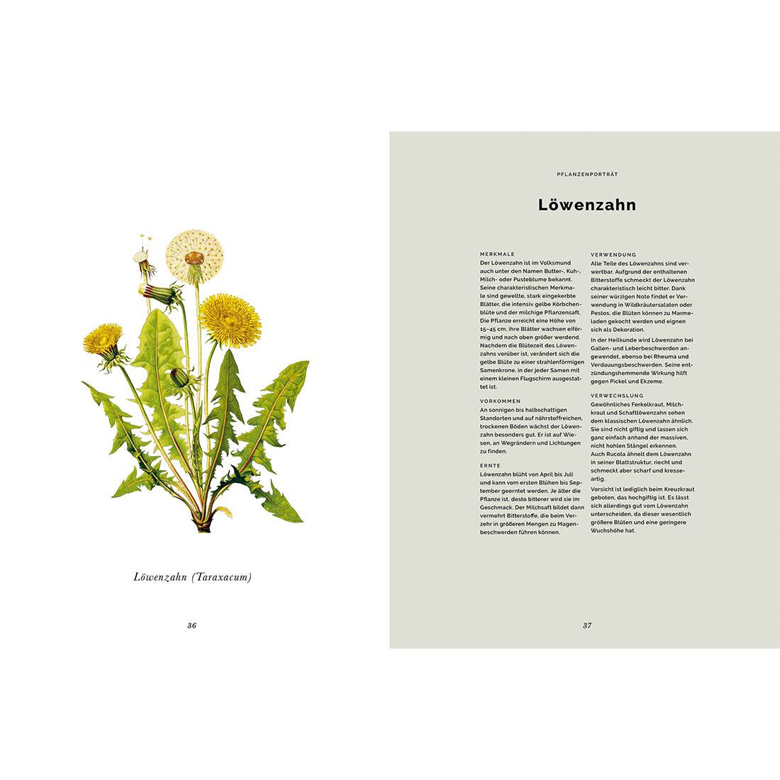 Waldkochbuch